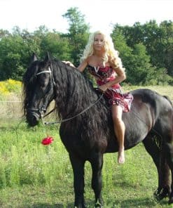 Lovas túra pároknak